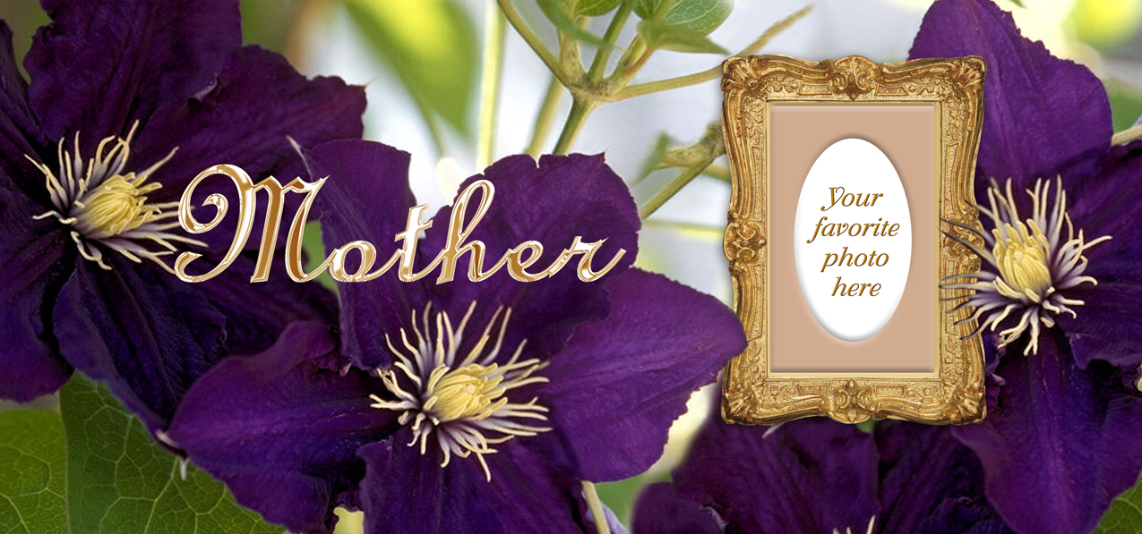 Purple Cylmaties Mother